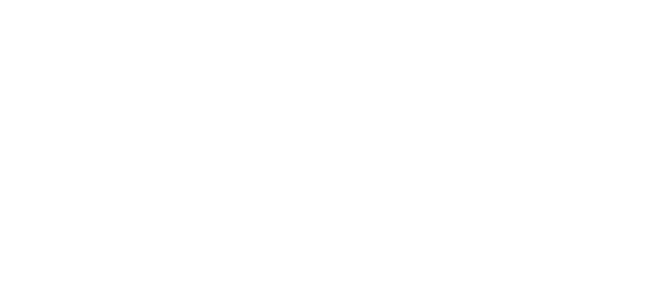 Desarrollo País logo