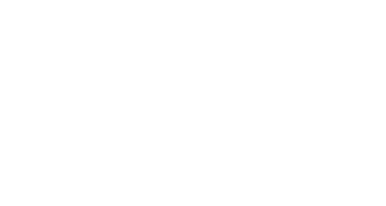 Pivotes logo