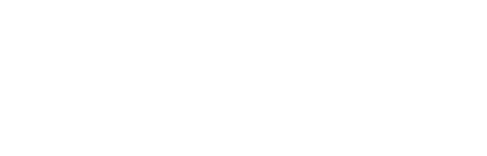 Techo logo